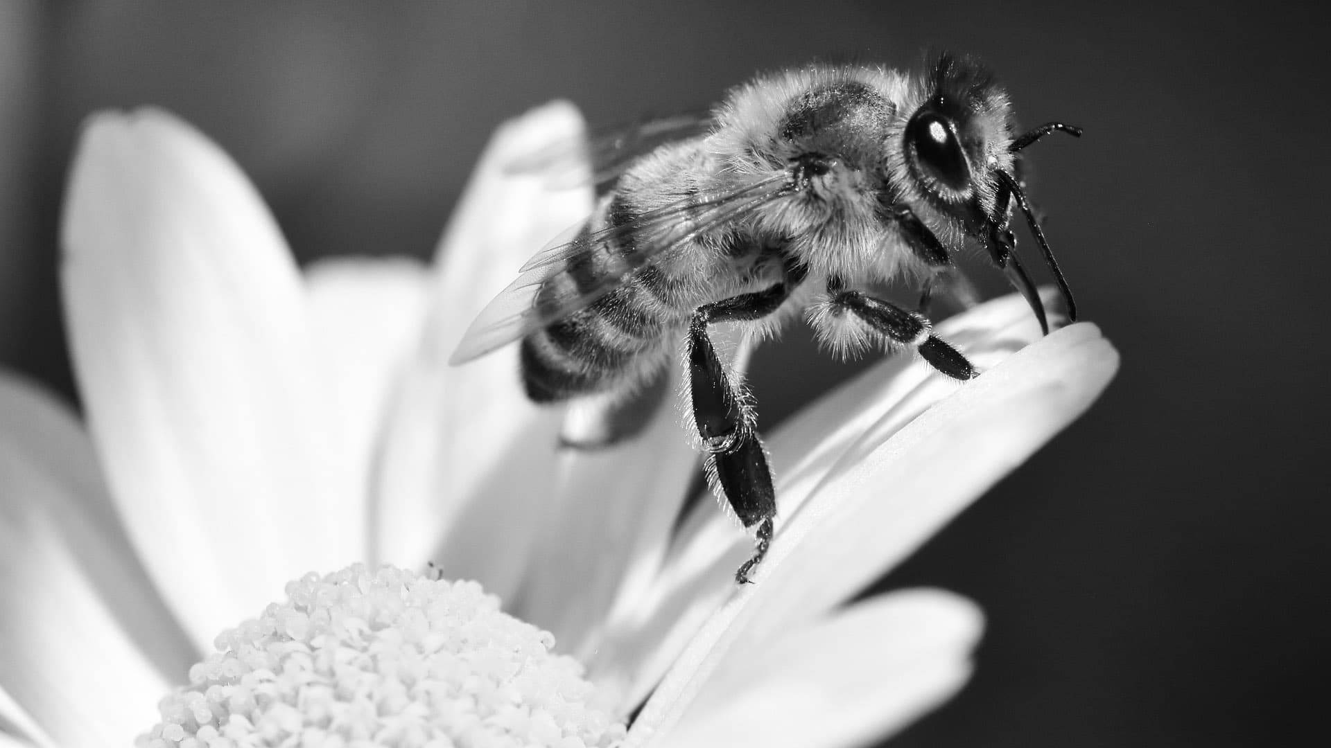 Designing for the Mind: The Psychology Behind Great UX hero image