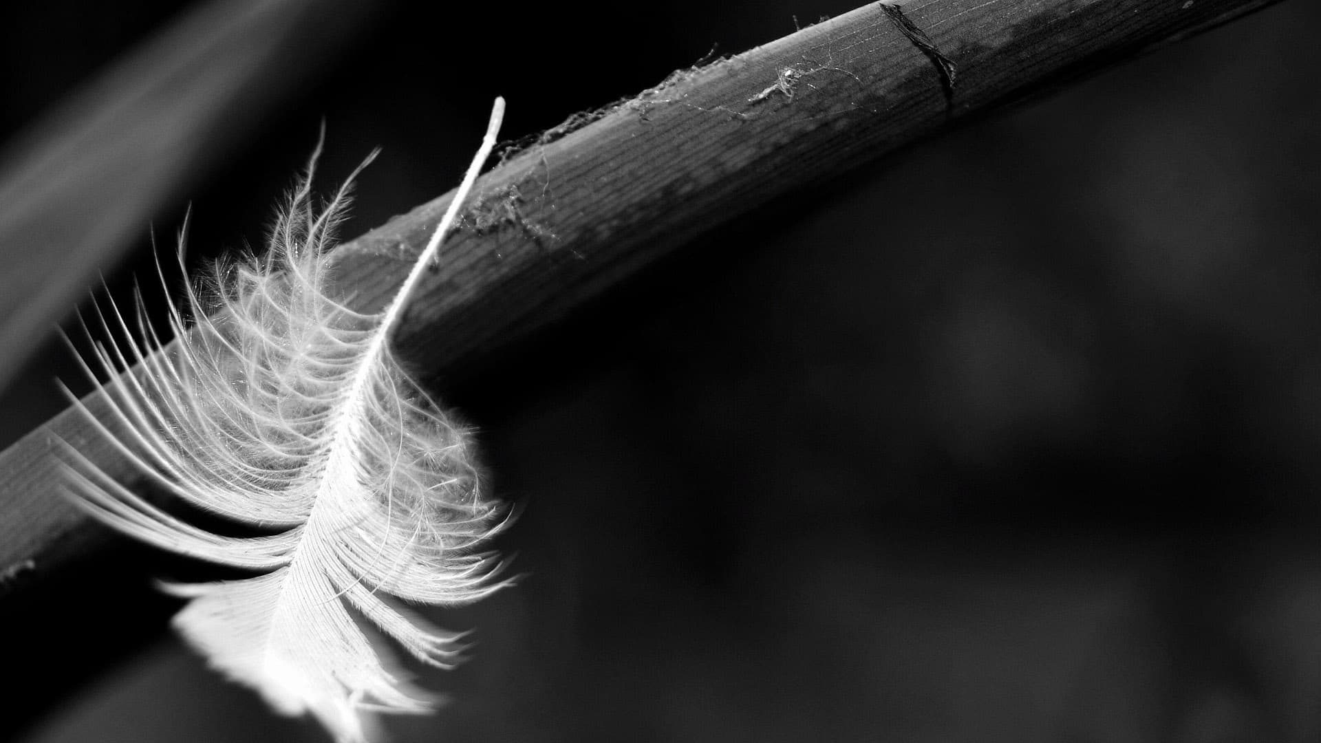 Measuring UX Psychology: Metrics & Tools for Behaviorally-Informed Design hero image