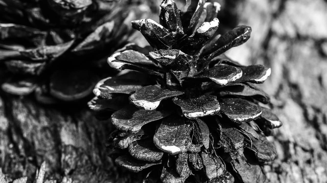 Top Five Things Every New Developer Should Know hero image