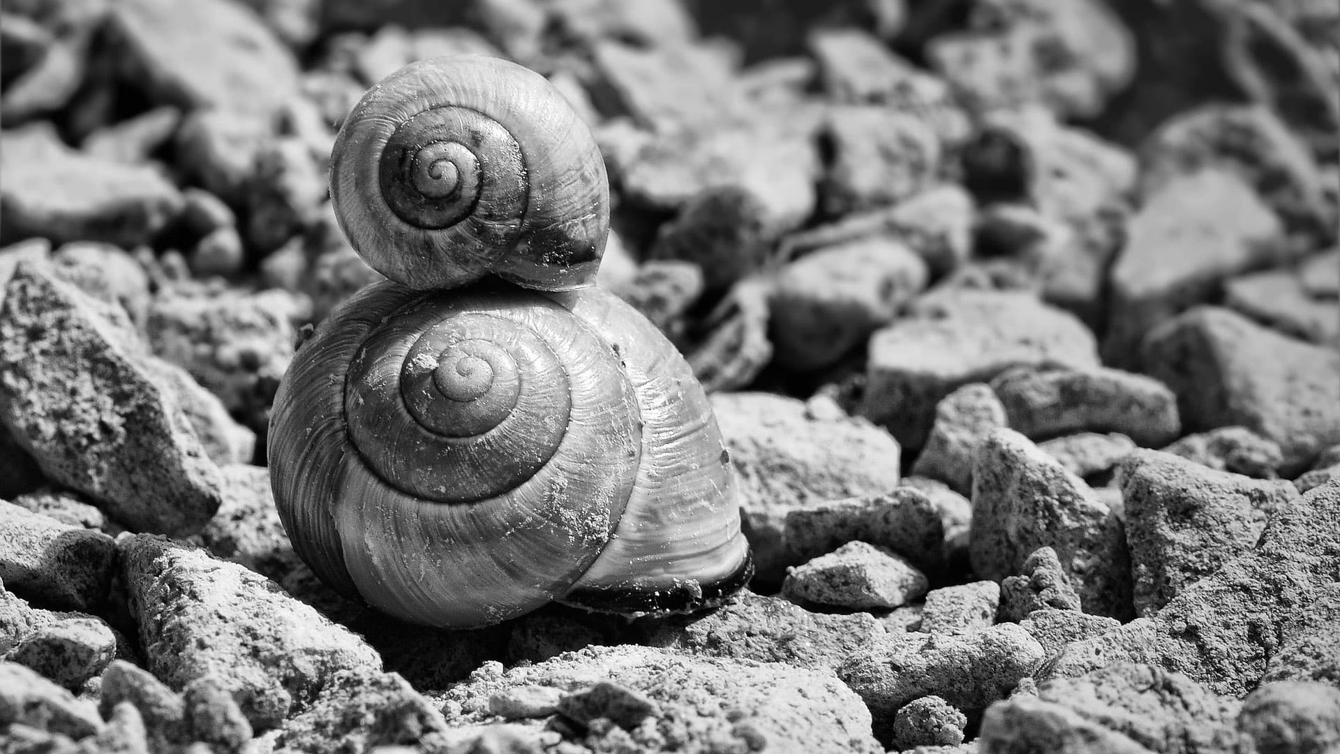 Craftsperson shaping a clay pot on a spinning wheel